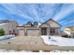 1150  Halfmoon Dr , Castle Rock, CO