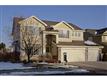 10202  Nickolas Ave , Highlands Ranch, CO