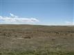 45455 Coal Creek Dr, Parker, CO 80138