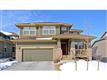 12029 S Saunter Ln , Parker, CO