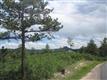 7638 Kebler Ct, Larkspur, CO 80118
