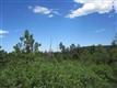 7638 Kebler Ct, Larkspur, CO 80118