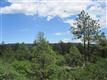 7638 Kebler Ct, Larkspur, CO 80118