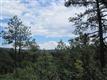 7638 Kebler Ct, Larkspur, CO 80118