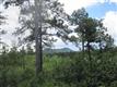 7638 Kebler Ct, Larkspur, CO 80118
