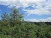 7638 Kebler Ct, Larkspur, CO 80118