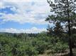 7638 Kebler Ct, Larkspur, CO 80118
