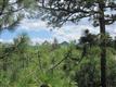 7638 Kebler Ct, Larkspur, CO 80118
