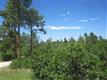 7638 Kebler Ct, Larkspur, CO 80118