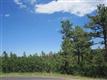 7638 Kebler Ct, Larkspur, CO 80118