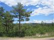 7638 Kebler Ct, Larkspur, CO 80118