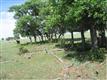 6238 N Crowfoot Valley Rd, Parker, CO 80134