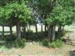 6238 N Crowfoot Valley Rd, Parker, CO 80134