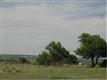 6238 N Crowfoot Valley Rd, Parker, CO 80134