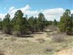 8480 Burning Tree Trl, Franktown, CO 80116