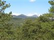 1436 Silvervale Ln, Evergreen, CO 80401