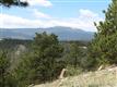 1436 Silvervale Ln, Evergreen, CO 80401