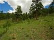 1436 Silvervale Ln, Evergreen, CO 80401