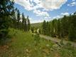 1436 Silvervale Ln, Evergreen, CO 80401