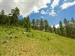 1436 Silvervale Ln, Evergreen, CO 80401