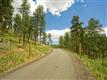 1436 Silvervale Ln, Evergreen, CO 80401