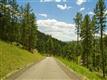 1436 Silvervale Ln, Evergreen, CO 80401