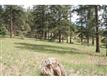 1436 Silvervale Ln, Evergreen, CO 80401
