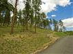 1436 Silvervale Ln, Evergreen, CO 80401