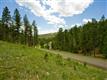 1436 Silvervale Ln, Evergreen, CO 80401