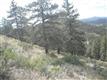 1436 Silvervale Ln, Evergreen, CO 80401
