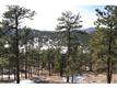 1436 Silvervale Ln, Evergreen, CO 80401