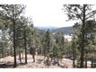 1436 Silvervale Ln, Evergreen, CO 80401