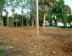 671  Broadway St , Longboat Key, FL