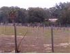 6565 Wadsworth Rd, Mount Dora, FL 32757