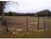 6565 Wadsworth Rd, Mount Dora, FL 32757