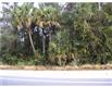   Ronald Reagan Pkwy , Davenport, FL