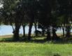  E Mirror Lake Dr, Fruitland Park, FL 34731