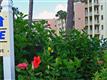 3543  Lake Bayshore Dr , Bradenton, FL