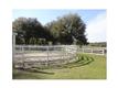 9304  Morton Jones Rd , Gotha, FL