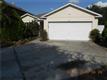 1619  Red Ruffle Ct 