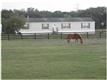 5101  Rex Dr , Winter Garden, FL