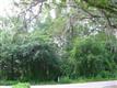   Hobson , Longwood, FL