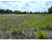 5534  Marleon Dr , Windermere, FL