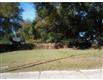 3010 N Ola , Tampa, FL