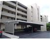 13626  Greenfield Dr , Tampa, FL