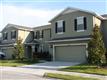 8120  Hampton View Ln , Tampa, FL