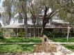 3018  Colonial Ridge Dr , Brandon, FL