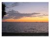 4453  45TH St S, St Petersburg, FL
