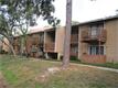 2480  Cypress Pond , Palm Harbor, FL