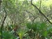   Twin Oak St , Deltona, FL
